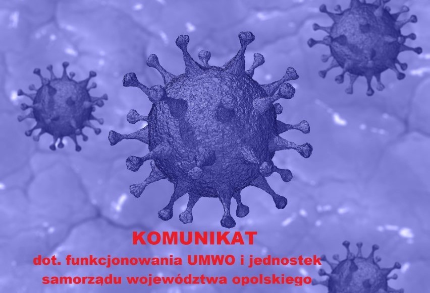 Zagrożenie koronawirusem – funkcjonowanie UMWO i jednostek samorządu województwa
