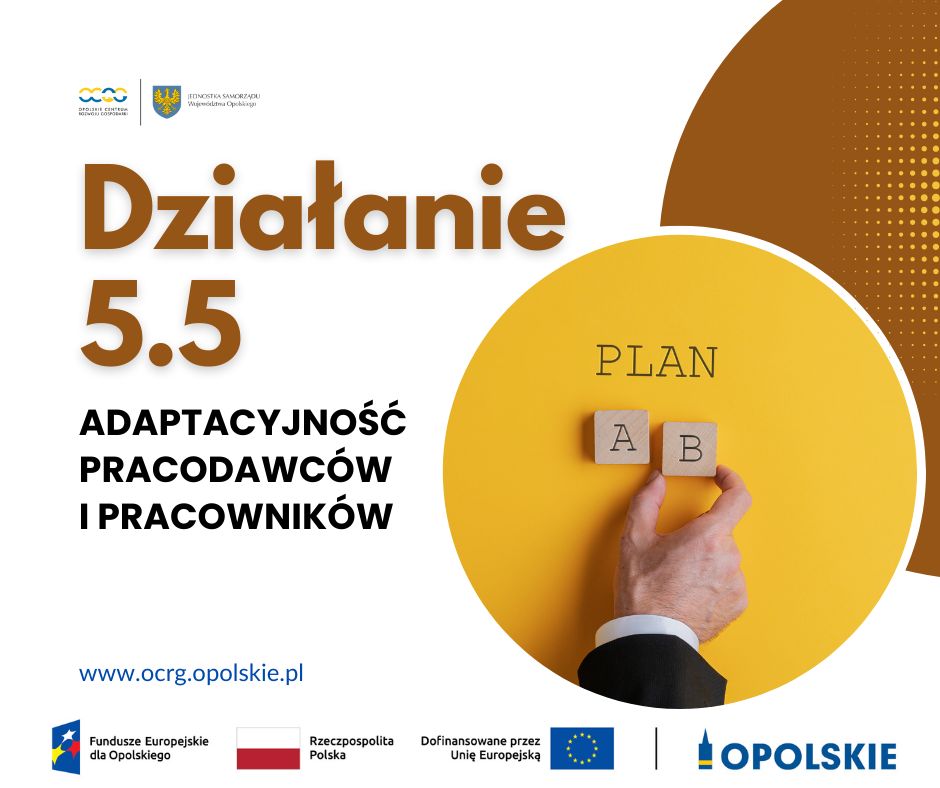 ADAPTACYJNOŚĆ PRACODAWCÓW I PRACOWNIKÓW – OGŁOSZENIE O NABORZE – NABÓR I